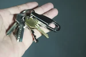 Alienação Fiduciária O que é e como funciona